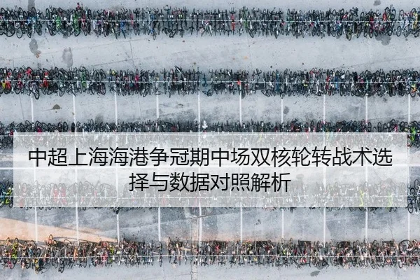 zhong-chao-shang-hai-hai-gang-zheng-guan-qi-zhong-chang-shuang-he-lun-zhuan-zhan-shu-xuan-ze-yu-shu-ju-dui-zhao-jie-xi-2-471.jpg